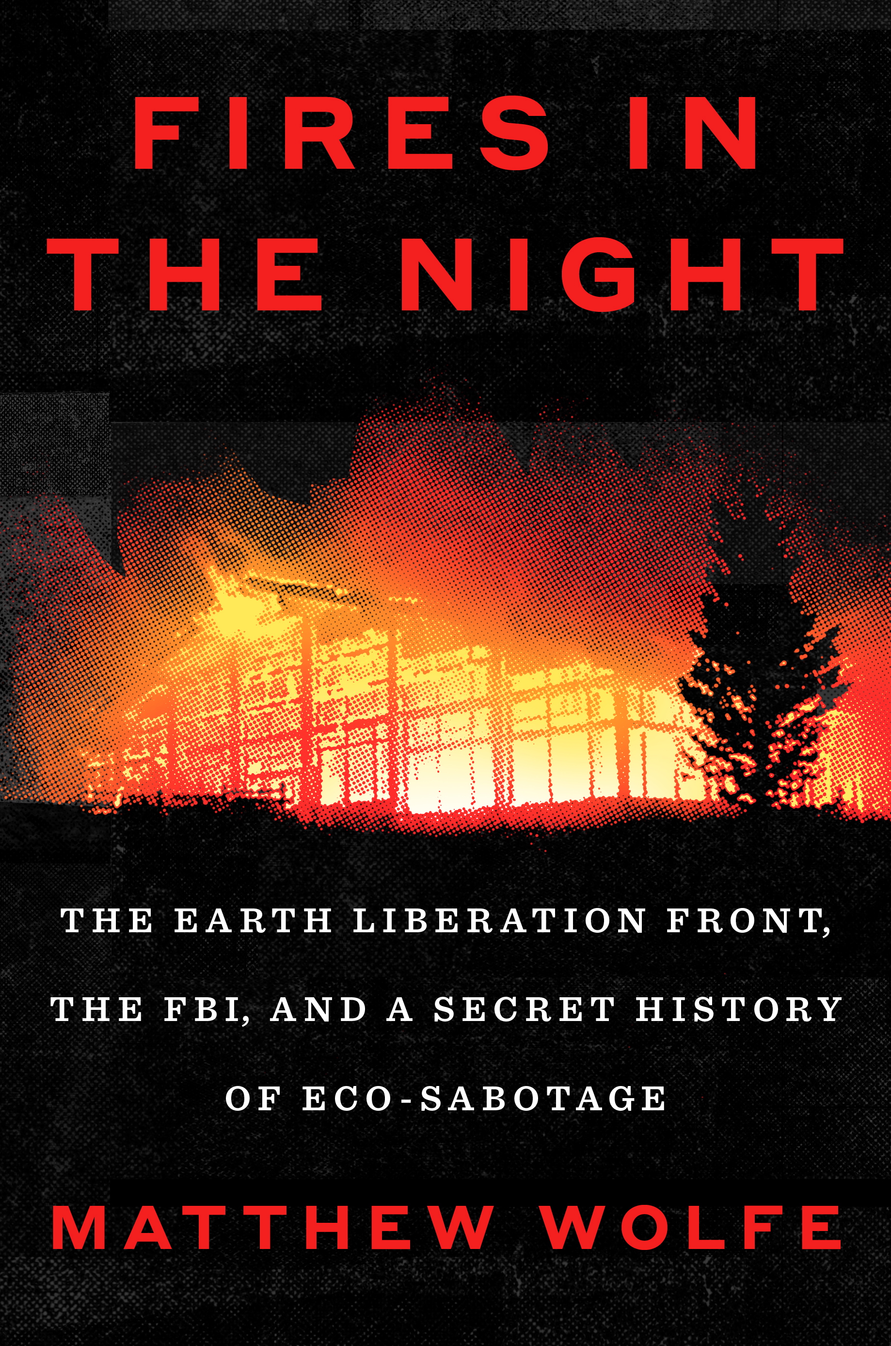 Fires in the Night by Matthew Wolfe — book cover